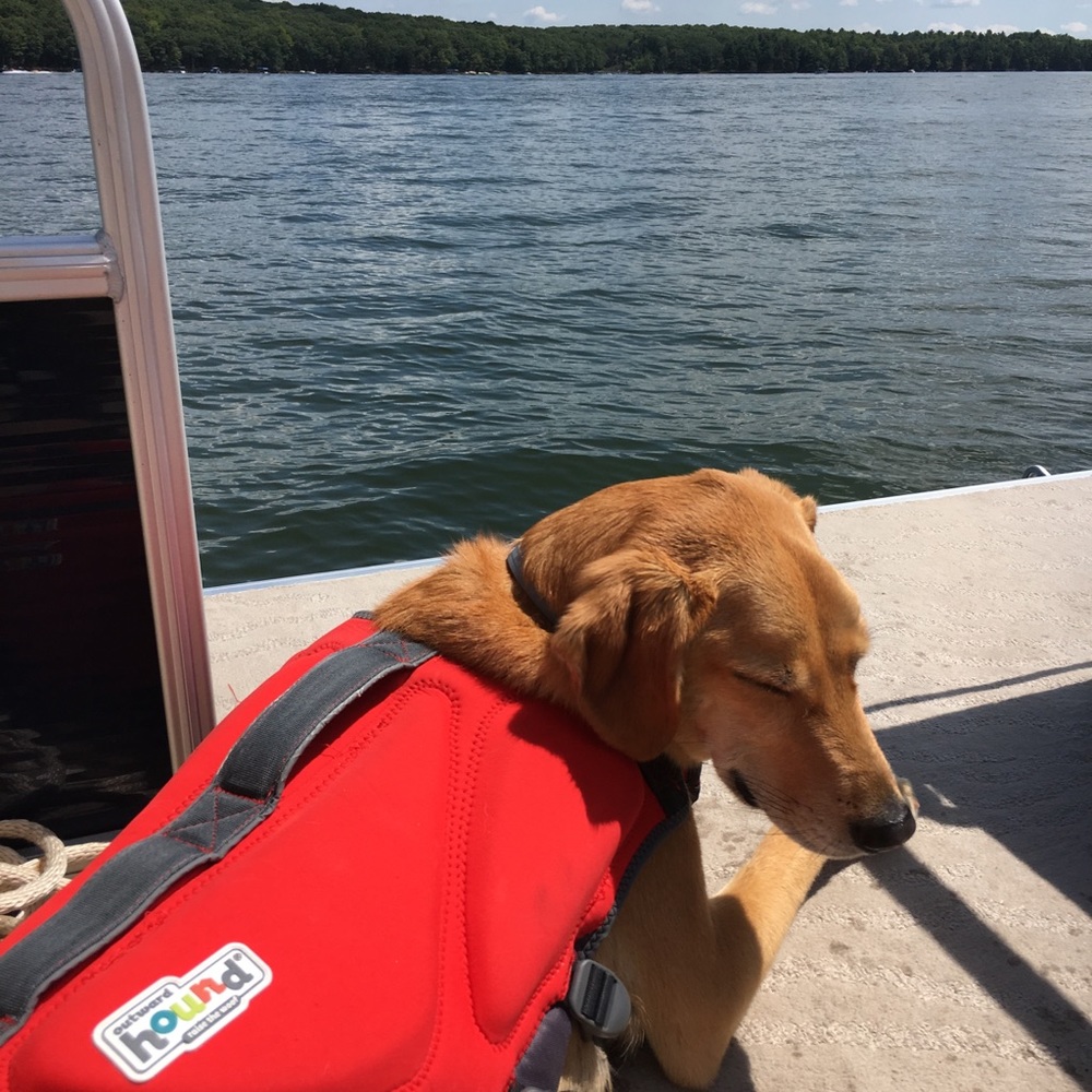 Meet your Posher, Laura